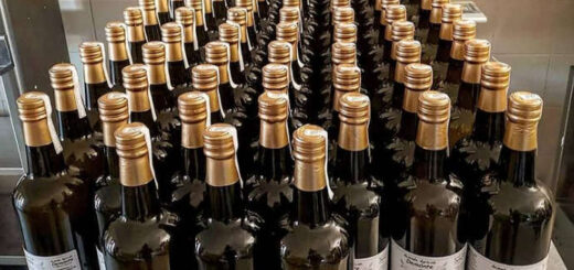 olio nuovo
